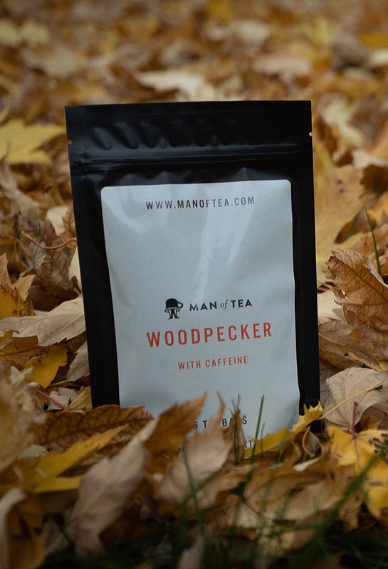 Image of our Woodpecker tea in the Fall leaves